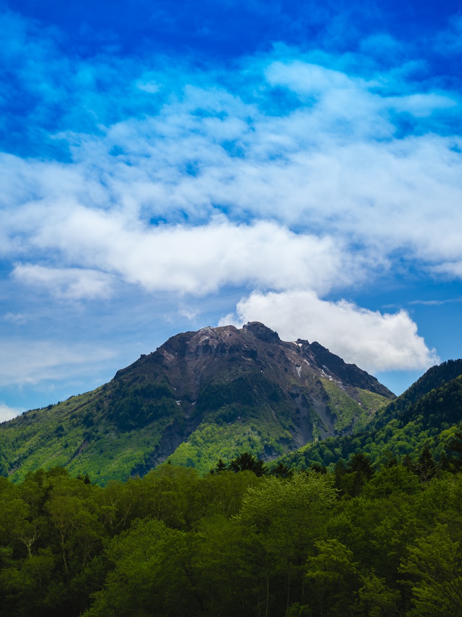 長野県の山林のイメージ