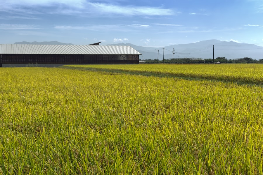 静岡県の原野のイメージ