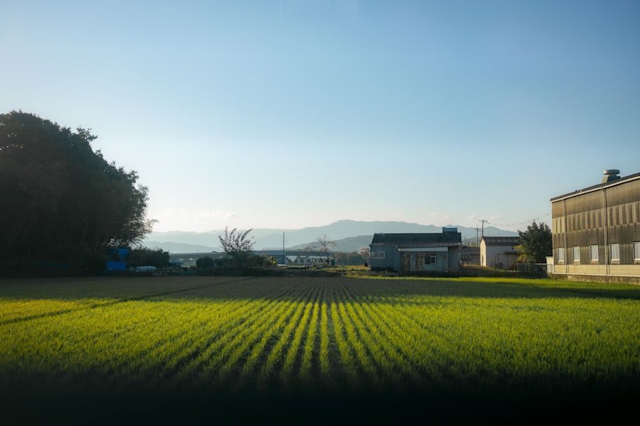 栃木県の雑種地のイメージ