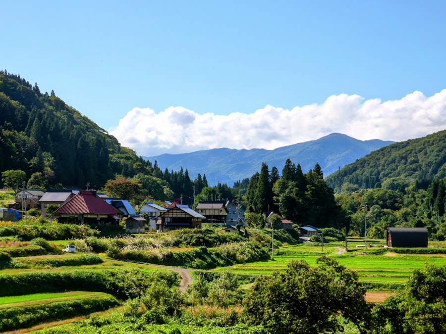 空き地・放置された土地のイメージ